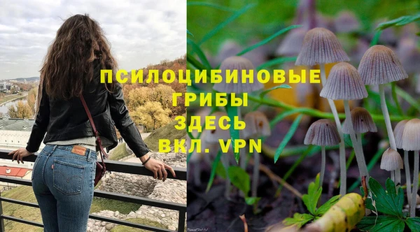 стаф Белоозёрский