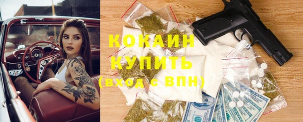 прущие грибы Богородицк
