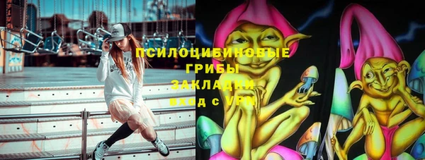 стаф Белоозёрский