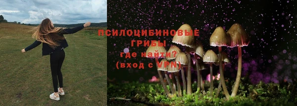 кокаин перу Белокуриха
